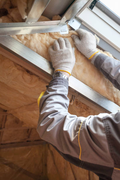 Best Insulation Installation Services in Galena Park, TX