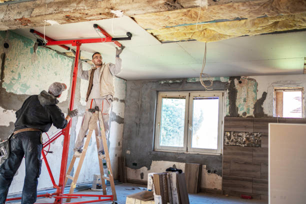 Best Insulation Maintenance and Repair in Galena Park, TX