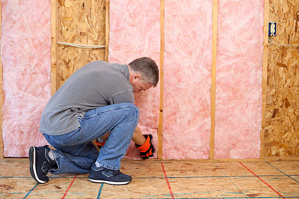 Best Types of Insulation in Galena Park, TX