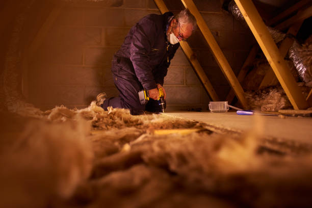 Best Commercial Insulation in Galena Park, TX